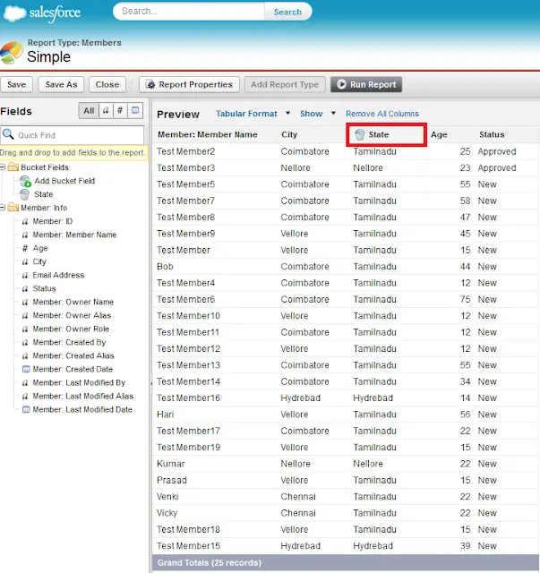 What is the use of bucket field in Reports in Salesforce